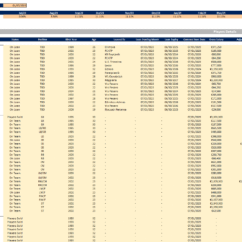 Soccer Club Acquisition Financial Model Template - Input Sheet