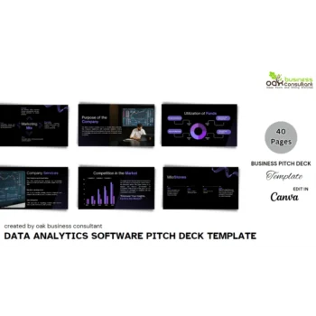 Data Analytics Software Pitch Deck - Company Summary - FI