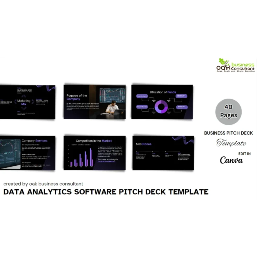 Data Analytics Software Pitch Deck - Company Summary - FI