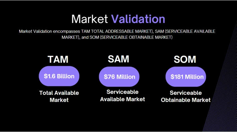 Data Analytics Software Pitch Deck - Market Validation