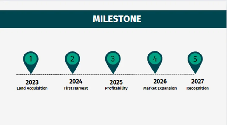 Wheat Farming Pitch Deck - Milestones