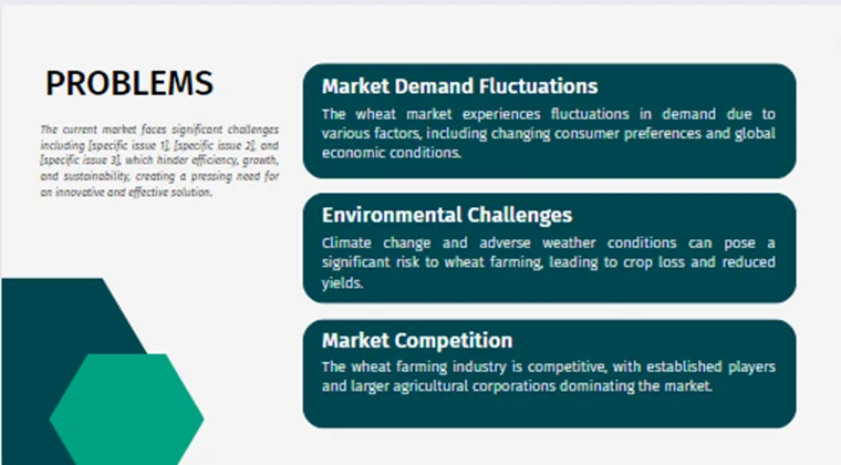 Wheat Farming Pitch Deck - Problems