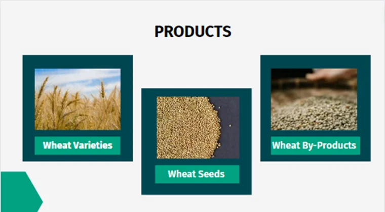 Wheat Farming Pitch Deck - Products