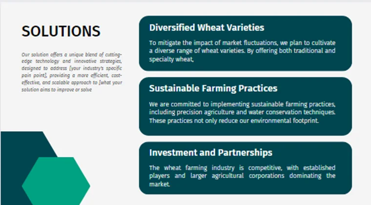 Wheat Farming Pitch Deck - Solutions