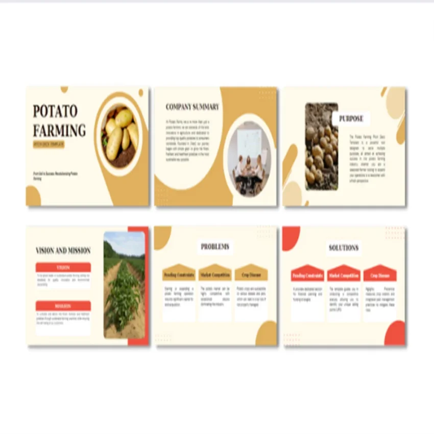 Potato Farming Pitch Deck-Company Summary Feature Image 3