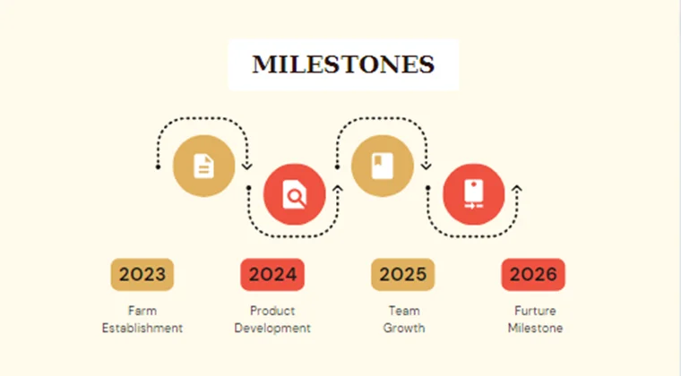 Potato Farming Pitch Deck-Milestones