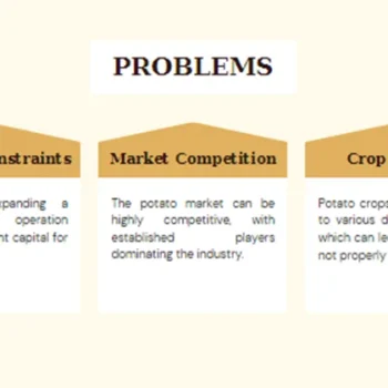 Potato Farming Pitch Deck-Problems
