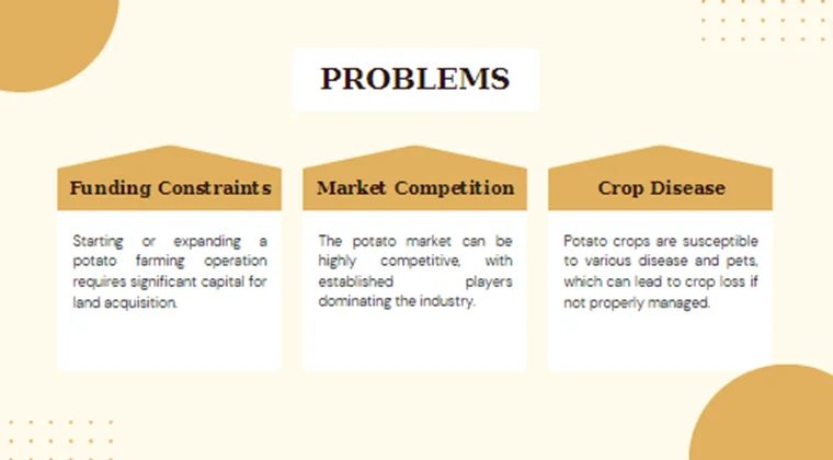 Potato Farming Pitch Deck-Problems