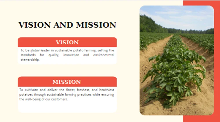 Potato Farming Pitch Deck-Vision And MIssion