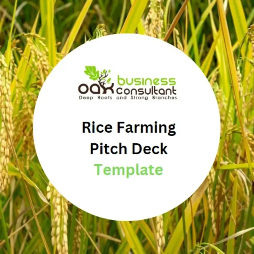 Rice Farming Pitch Deck Template - Product Image