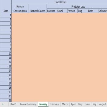 Poultry Farm Recording and Tracking Model - Flock Losses