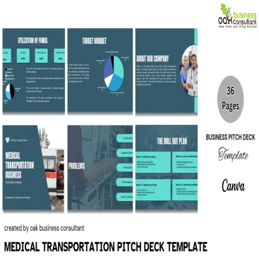 Medical Transportation Business - Company Summary - FI