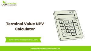 Terminal Value NPV Calculator