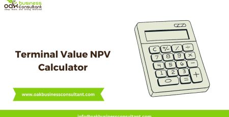 Terminal Value NPV Calculator