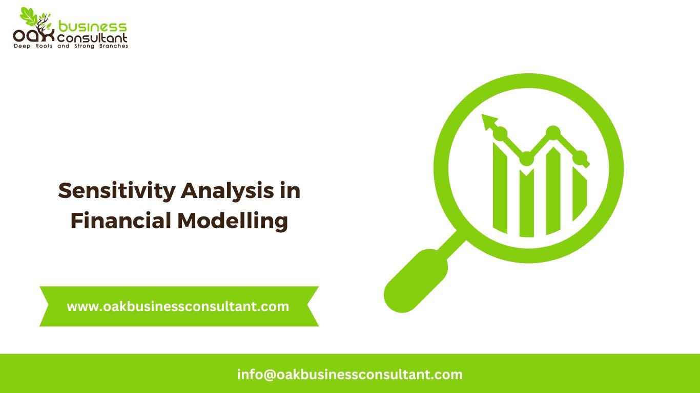 Sensitivity Analysis in Financial Modelling