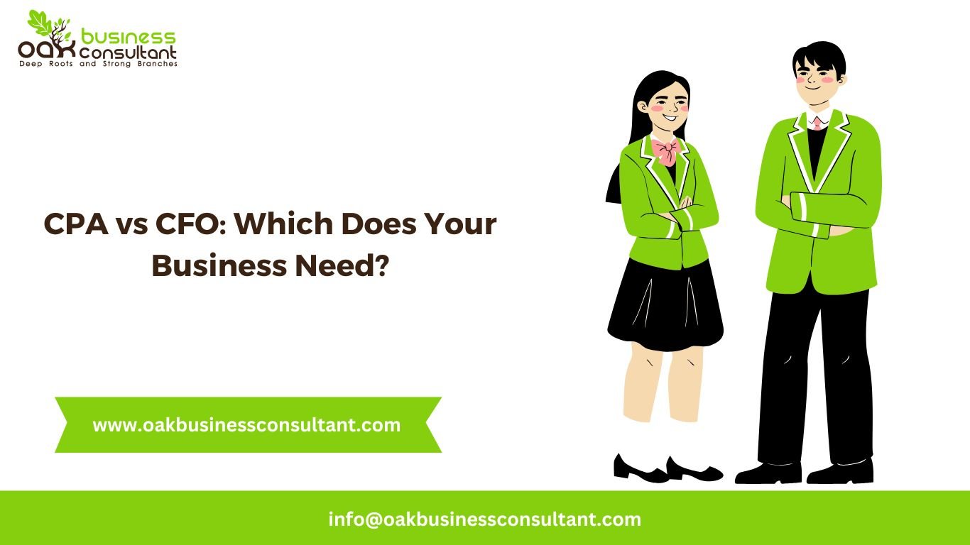 CPA vs CFO Which Does Your Business Need