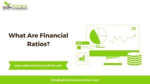 What Are Financial Ratios