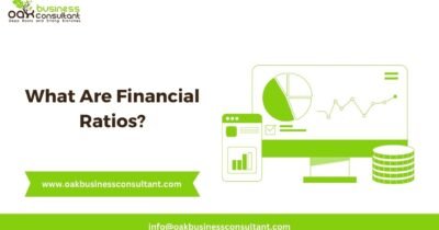 What Are Financial Ratios