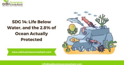SDG 14 Life Below Water, and the 2.8% of Ocean Actually Protected