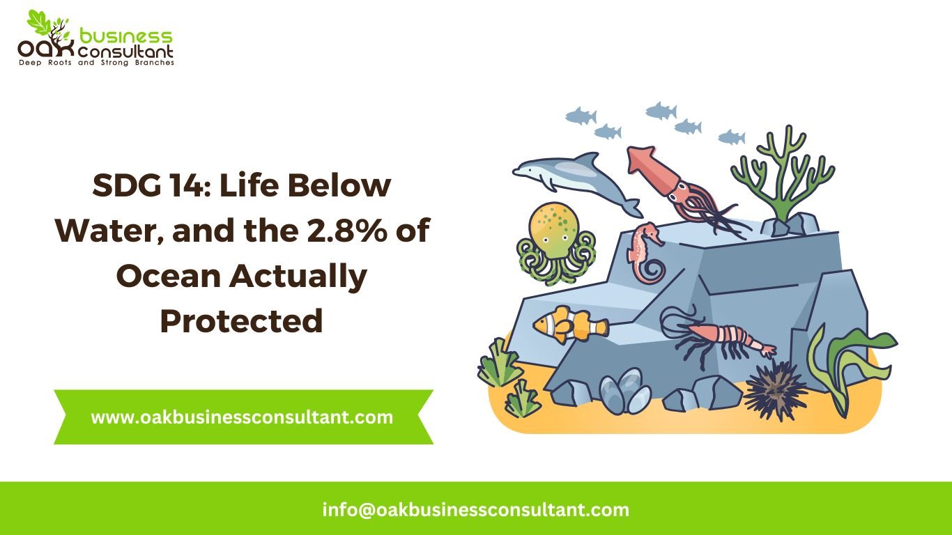 SDG 14 Life Below Water, and the 2.8% of Ocean Actually Protected