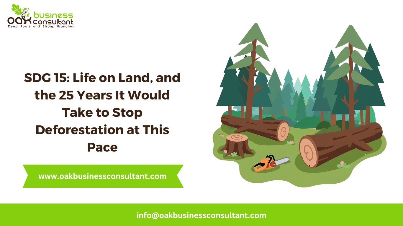 SDG 15: Life on Land, and the 25 Years It Would Take to Stop Deforestation at This Pace