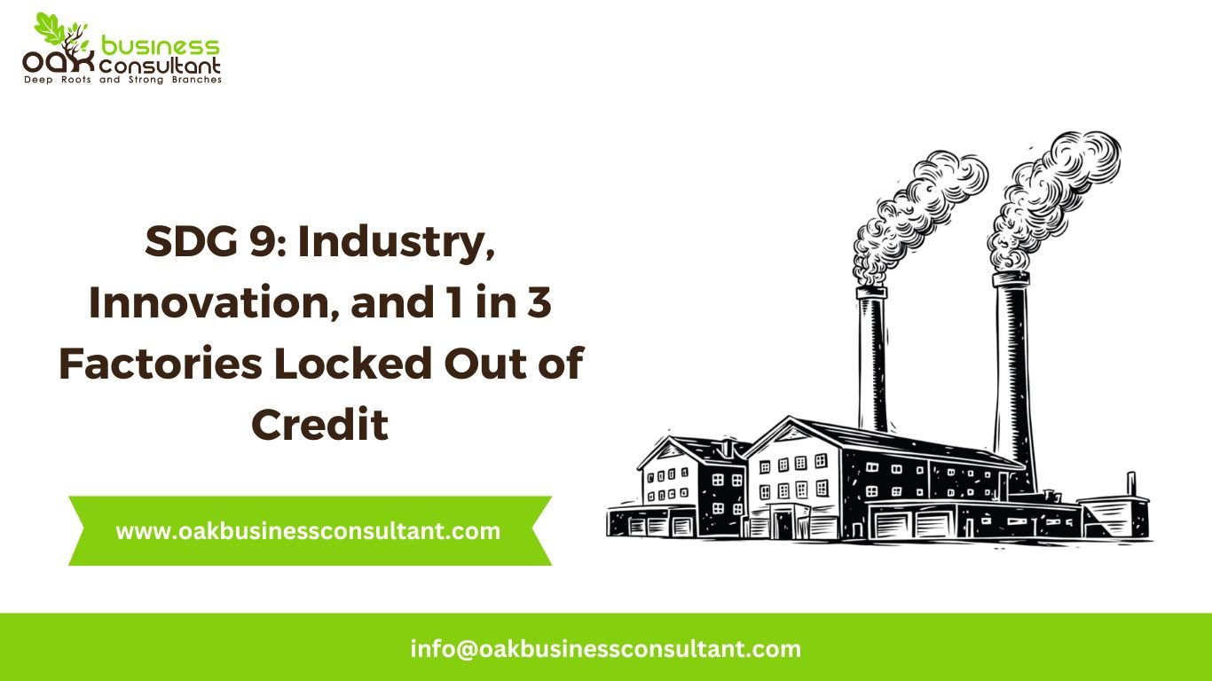 SDG 9: Industry, Innovation, and 1 in 3 Factories Locked Out of Credit